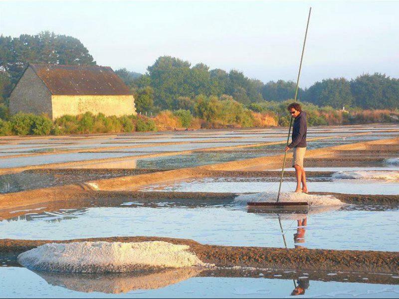 La Palmeraie Vannes Zewnętrze zdjęcie